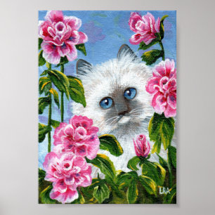 Pôster Ragdoll Gato Rosa Rosas Rosa Siamês - Criações