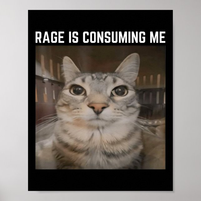 Poster Rage Está Me Consumindo Meme Cat Meme Específico (Frente)