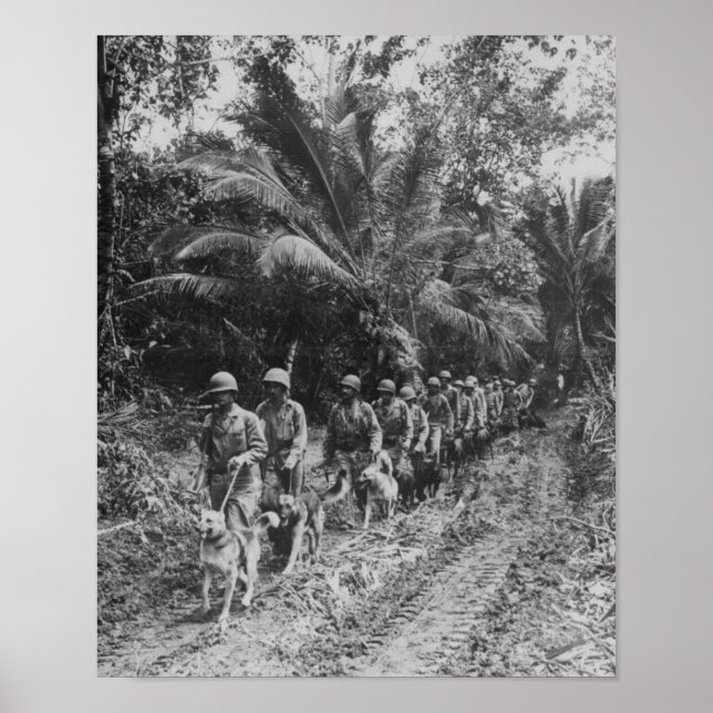 Pôster Raiders (Frente)