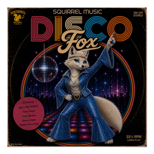 Pôster Raina do Disco (Frente)