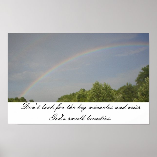 Pôster Rainbow Beauties (Frente)