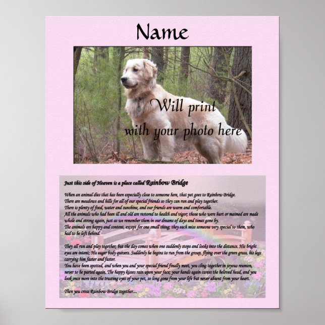Poster Rainbow Bridge Pet Memorial Pink (Frente)