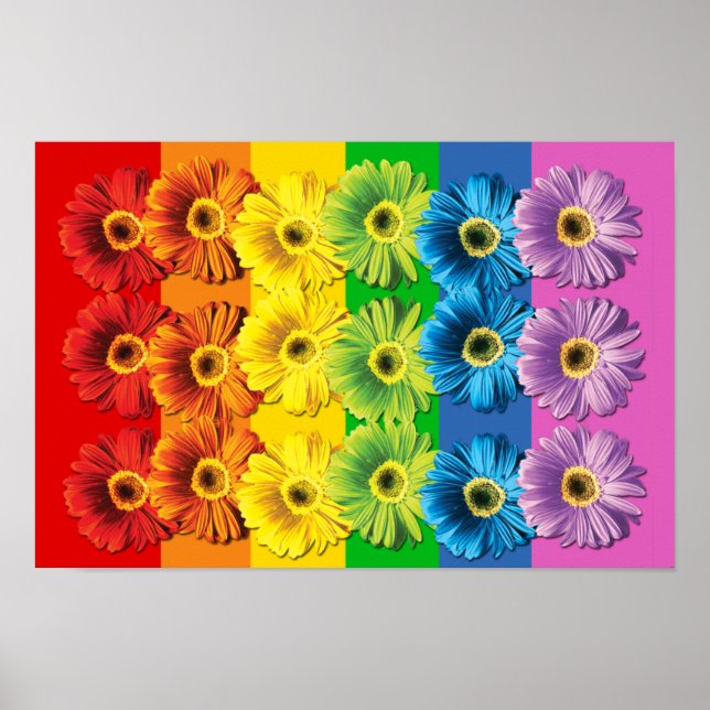 Pôster Rainbow Daisies (Frente)