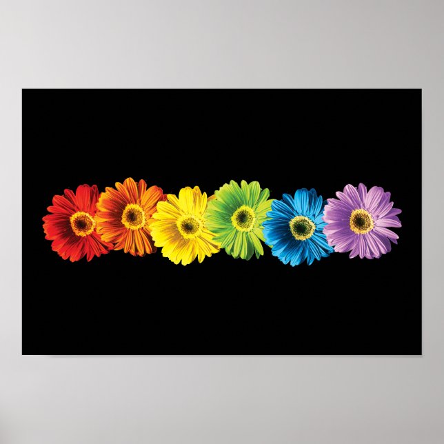 Poster Rainbow Daisies (Frente)