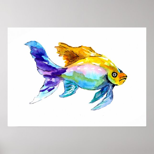 Poster Rainbow Goldfish (Frente)