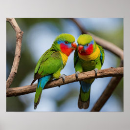 Poster Rainbow Lorikeets