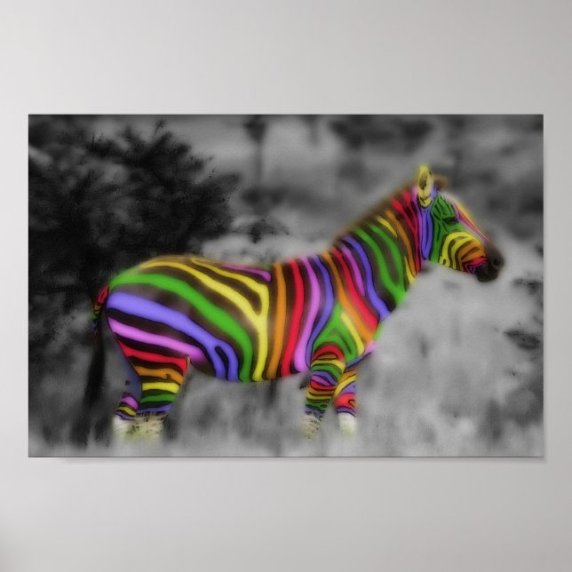 Pôster Rainbow Zebra (Frente)