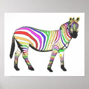 Pôster Rainbow Zebra