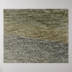 Pôster Raindrop Ripula Natureza Fotografia de Água