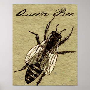 Poster Rainha Bee Wildlife Inseto Insetório