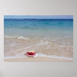 Pôster Rainha Conch na praia, Bahamas