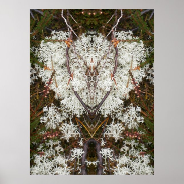 Pôster Rainha Elizabeth 1rua Lichen (Frente)