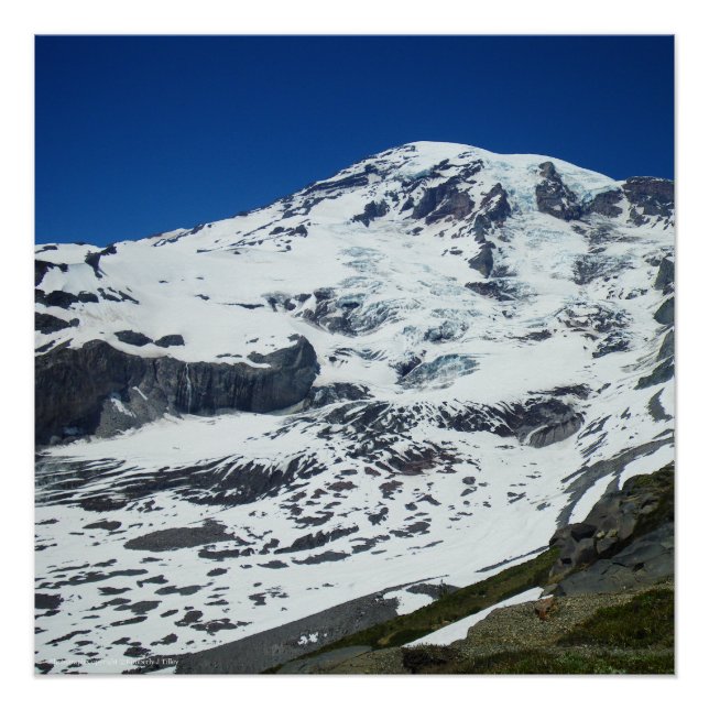 Pôster Rainier P555 (Frente)