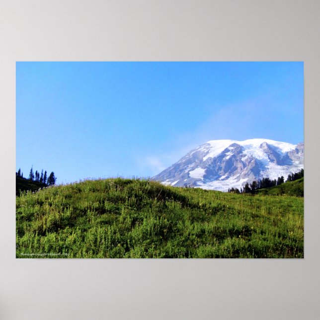 Pôster Rainier PDSC230 (Frente)