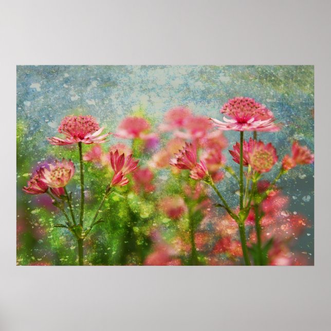 Pôster Rainy Day (Frente)