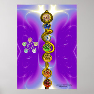 PÔSTER RAIO DE ASCLEPIUS 7 CHAKRAS,YOGA, ENERGIA ESPIRITU