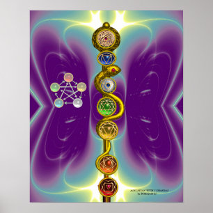PÔSTER RAIO DE ASCLEPIUS 7 CHAKRAS,YOGA, ENERGIA ESPIRITU
