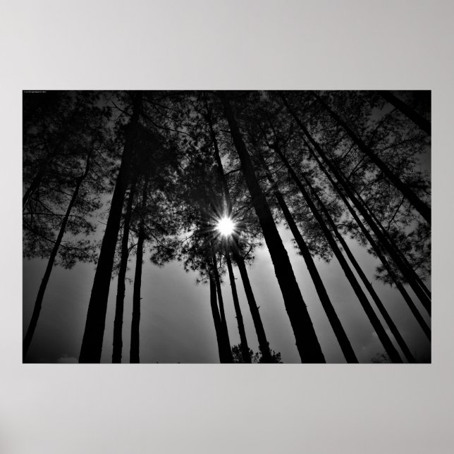 Poster Raio de sol, (Frente)