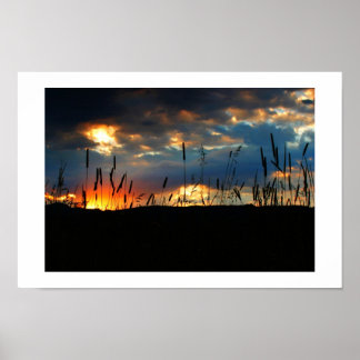 Poster Raio de Sol do CatTail