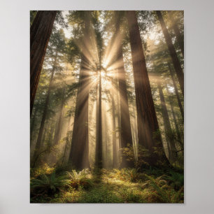 Poster Raios de Sol Através de Gigantes Antigos