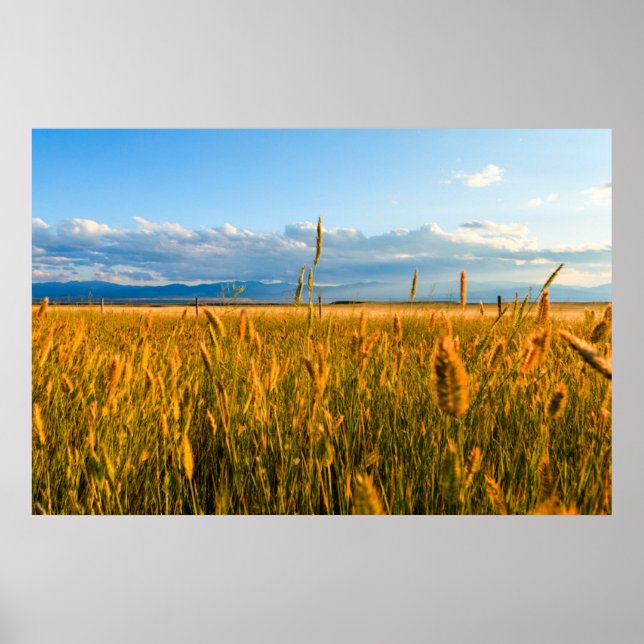 Pôster Raios de sol sobre campo de trigo com montanhas (Frente)