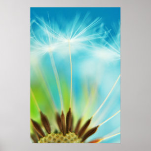 Poster Raios Leiteiros