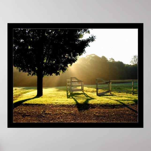 Pôster Raios leves 2 (Frente)