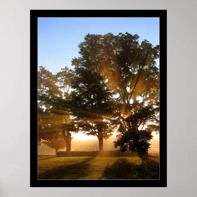 Poster Raios leves 4 (Frente)