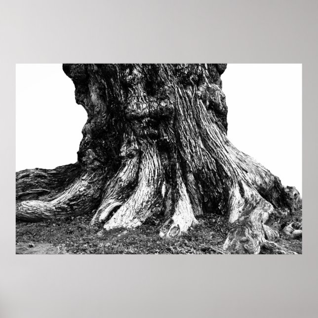 Pôster Raízes (Frente)