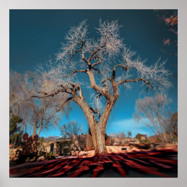 Pôster Raízes antigas da estrada de Canyon (Frente)