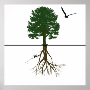 Poster Raízes de Designs Riyah-Li