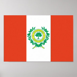 Pôster Raleigh, bandeira de North Carolina