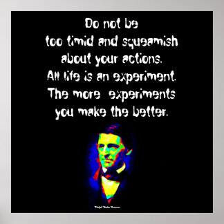 Pôster Ralph Waldo Emerson - Palavras de Sabedoria