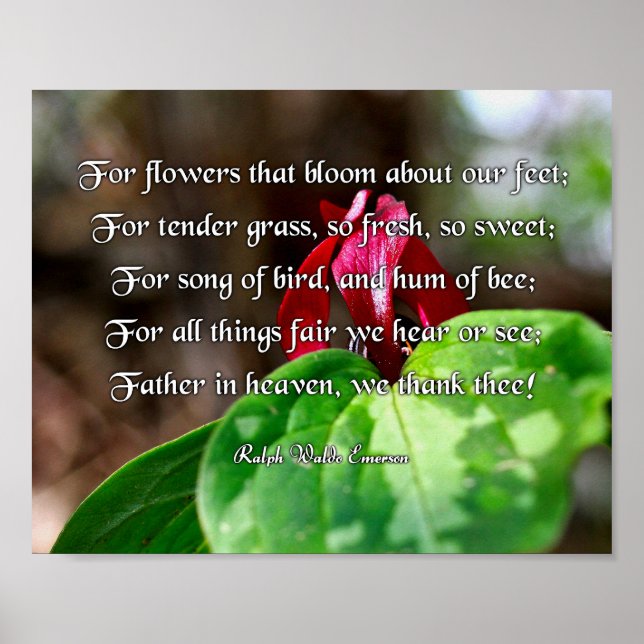 Poster Ralph Waldo Emerson Poem, Para Flores (Frente)
