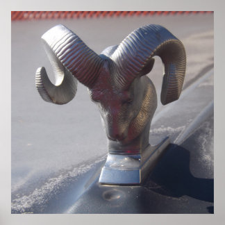 Pôster Ram prateado