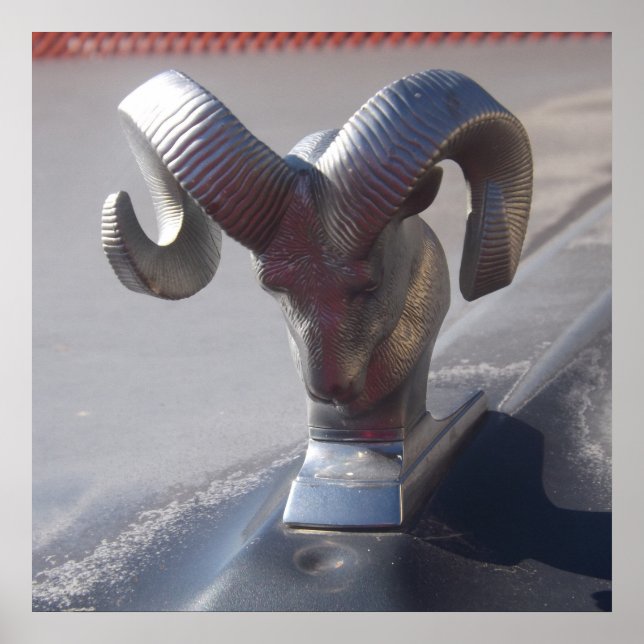 Pôster Ram prateado (Frente)