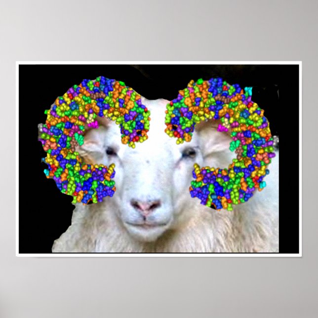 Pôster Ram tipo Toll (Frente)