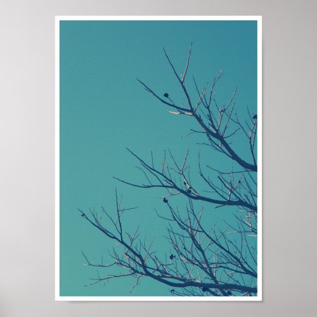 Poster Ramais (Frente)