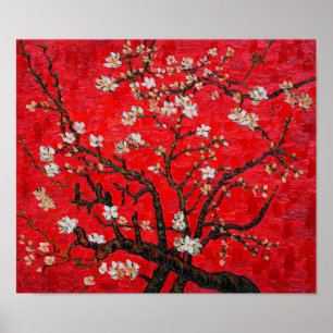 Poster Ramais da Árvore de Amêndoa em Blossom, Van Gogh