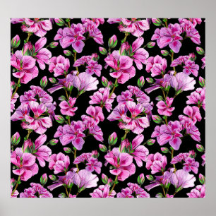 Poster Ramais de gerânio, bordos cor-de-água rosa.