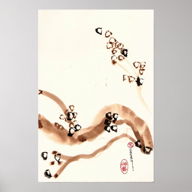 Pôster Ramais de Oak (Frente)