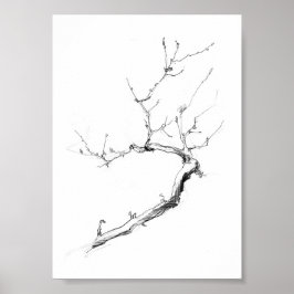 Poster Ramificação de Árvore Delicada Minimalista