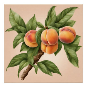Pôster Ramificação de Vintage com Ilustração de Fruta de 