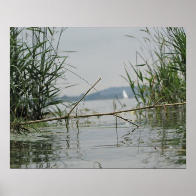 Poster Ramificação em Água Suave (Frente)