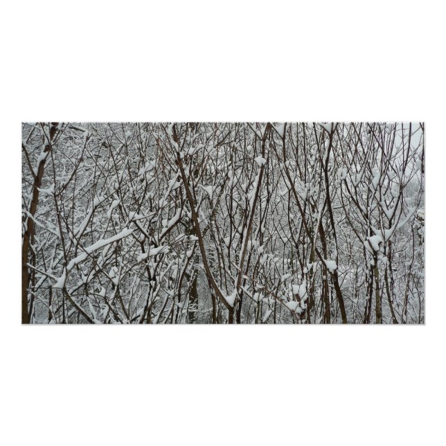 Pôster Ramificações cobertas por neve Abstrato de inverno (Frente)