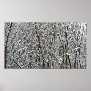 Poster Ramificações cobertas por neve inverno