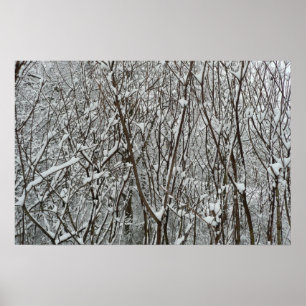 Poster Ramificações cobertas por neve inverno