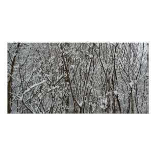 Pôster Ramificações cobertas por neve inverno