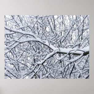 Pôster Ramificações de Neve