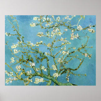 Poster Ramificações do Flor de Amêndoa (F671) Van Gogh Bi